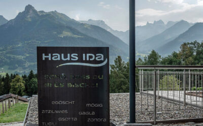 Die Montafoner: Sprache und Abstammung