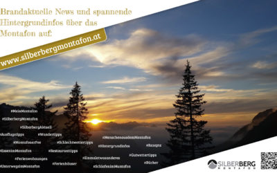 Hintergrundwissen, Restauranttipps, Interviews, Unterkünfte und vieles mehr