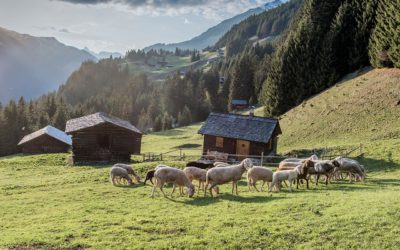 Montafoner Maisäßlandschaft
