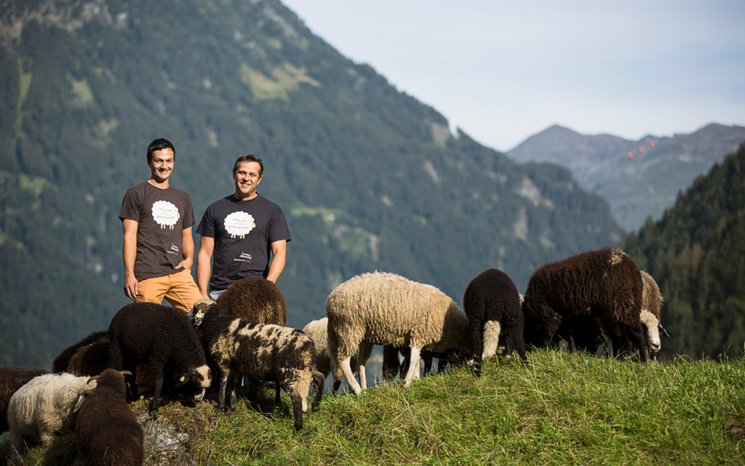 Montafoner Steinschafe Silberberg GmbH Montafon