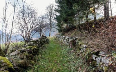 Via Valtellina