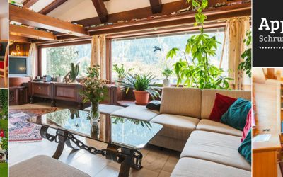 1920×640-bluementin