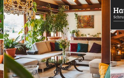 1920×640-zimbablick