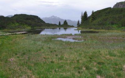 beitrag_naturschutz1