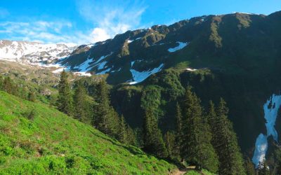 beitrag_naturschutz2