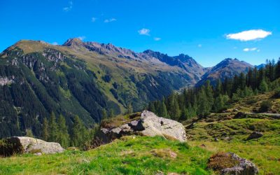 beitrag_naturschutz6