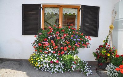 beitrag_rundblick4