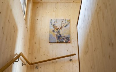 beitrag_valtellina_29