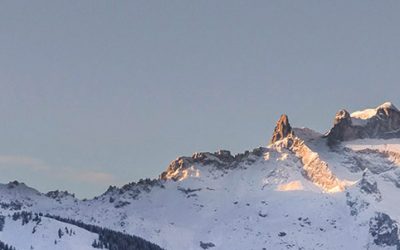 kategorie_headerbild_n