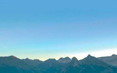 silberberg_newsletter